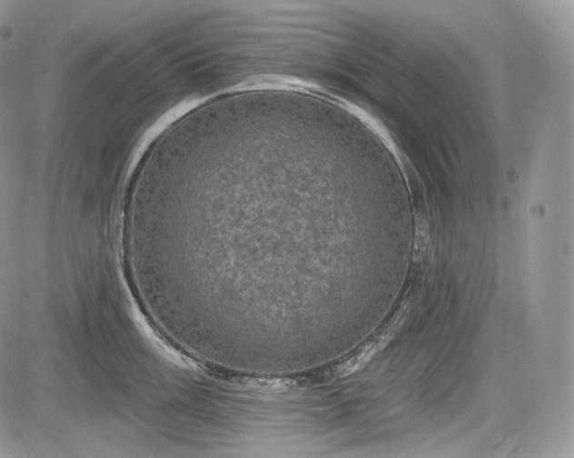 X0000085261003200703161359