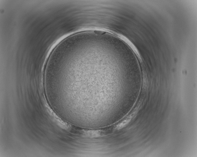 X0000085261004200703161359