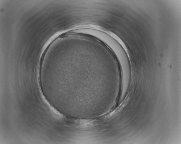 X0000085261005200703161359