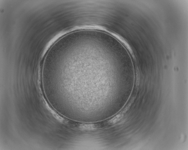 X0000085261006200703161359