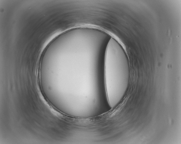 X0000085261007200703161359