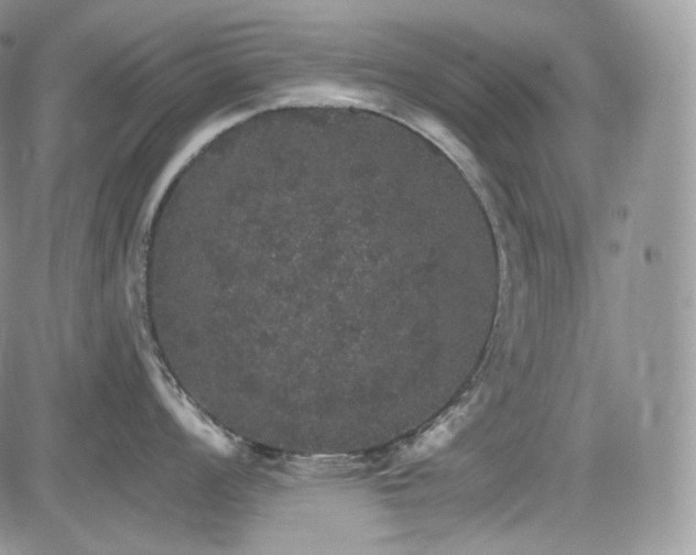 X0000085261008200703161359