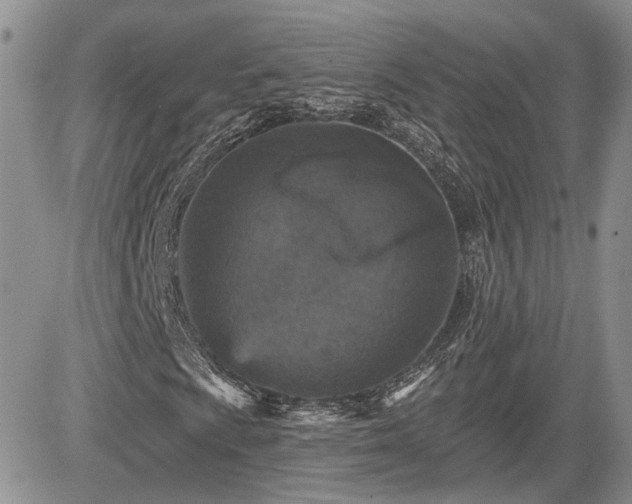 X0000085261009200703161358