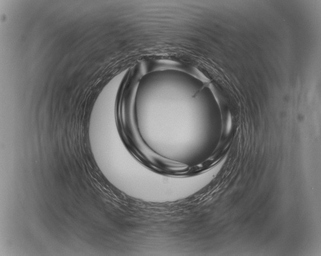 X0000085261010200703161358