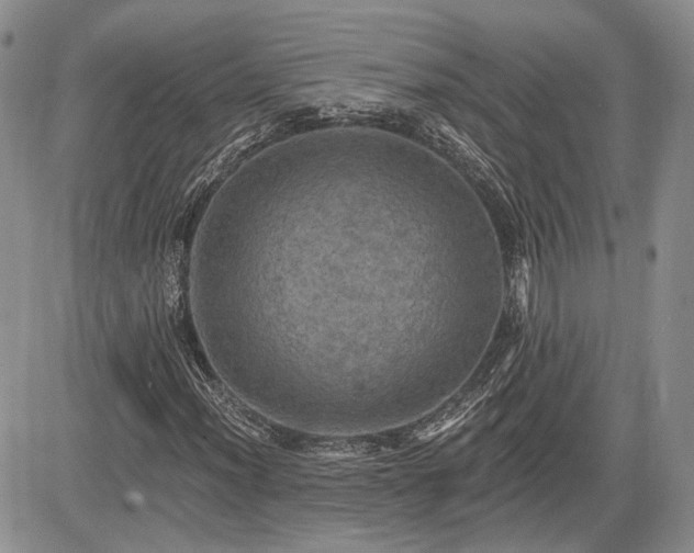 X0000085261012200703161358