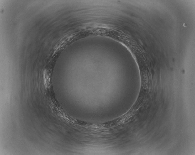 X0000085261013200703161358