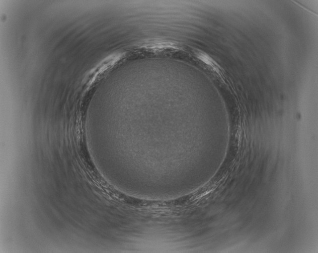 X0000085261014200703161358