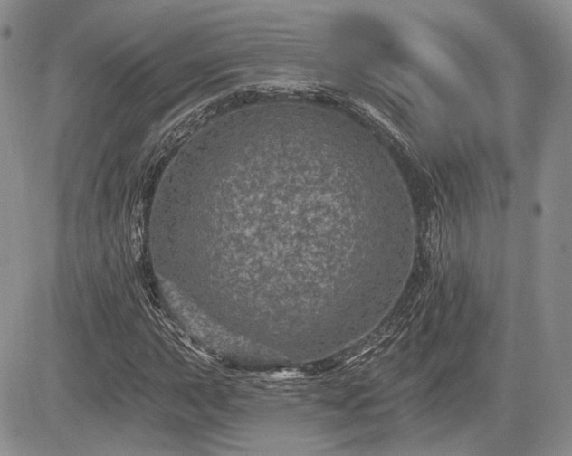 X0000085261015200703161358