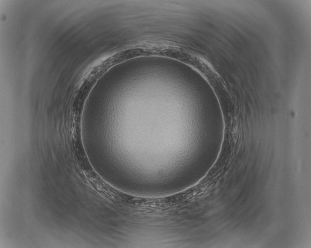 X0000085261016200703161358