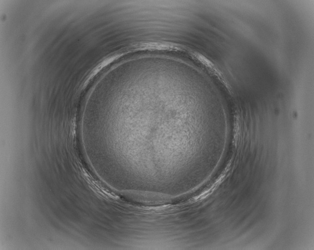 X0000085261017200703161358