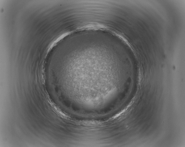 X0000085261018200703161358