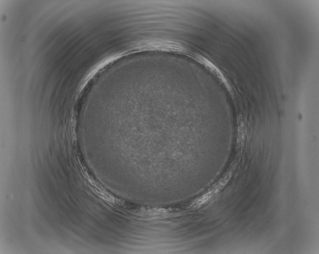 X0000085261019200703161358