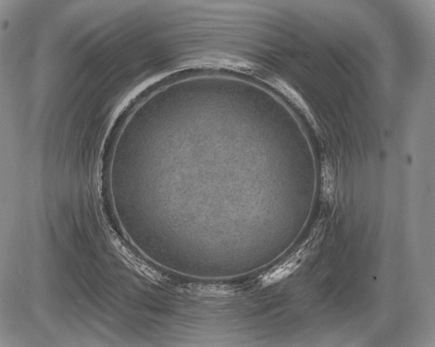 X0000085261020200703161358