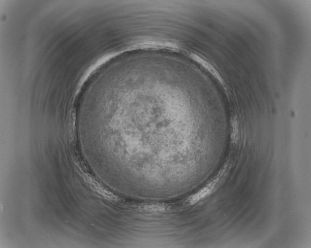 X0000085261021200703161358