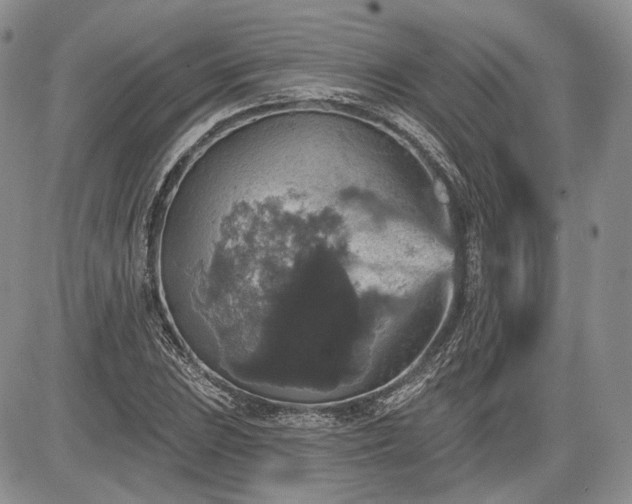 X0000085261023200703161358