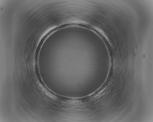 X0000085261024200703161358