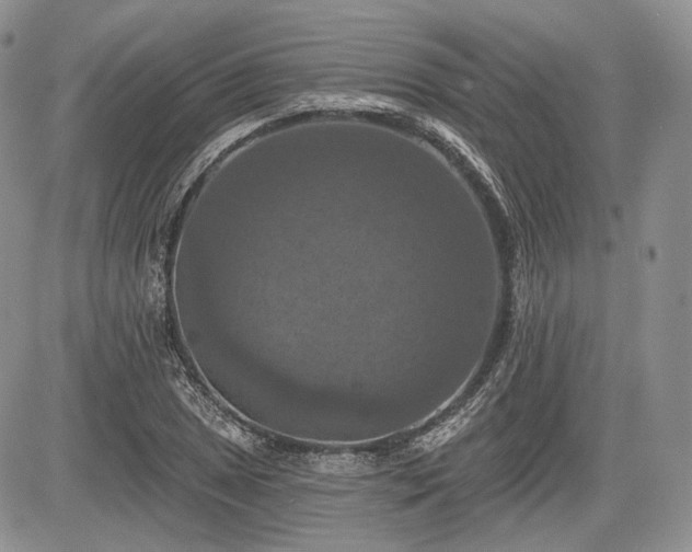 X0000085261025200703161358