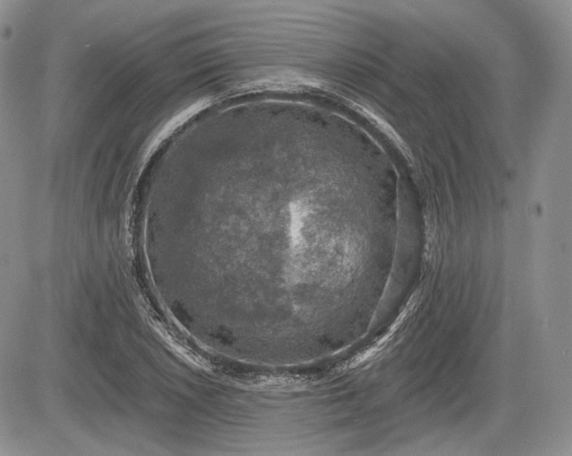 X0000085261026200703161358