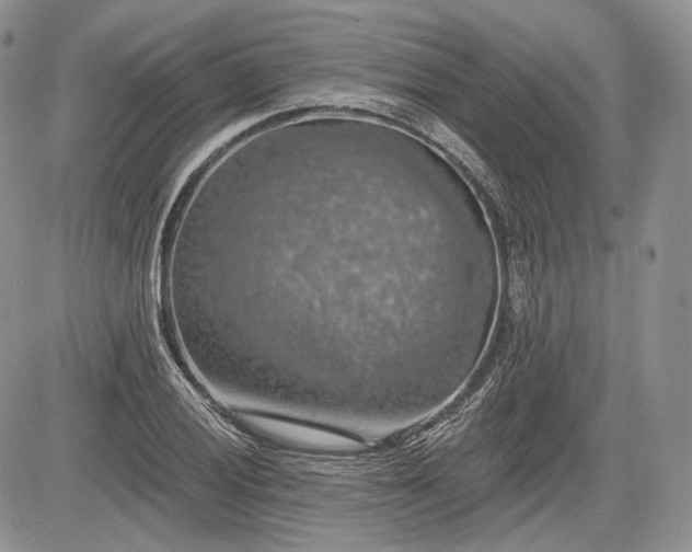 X0000085261028200703161358