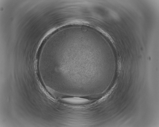 X0000085261029200703161358