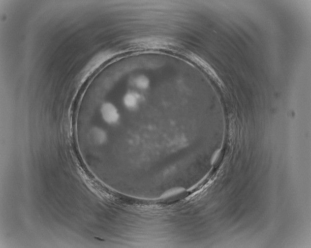 X0000085261031200703161358