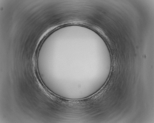 X0000085261032200703161358