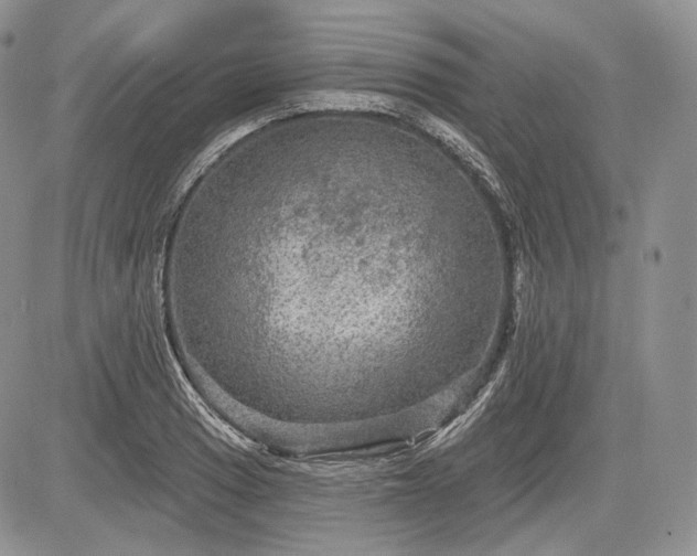 X0000085261033200703161358