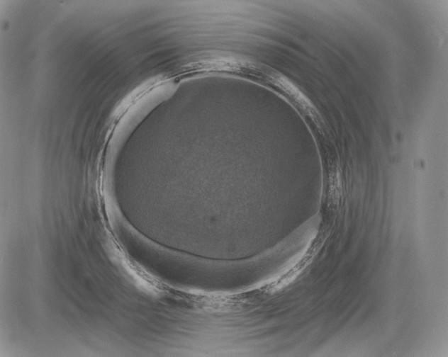 X0000085261034200703161358