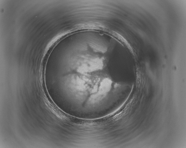 X0000085261035200703161358