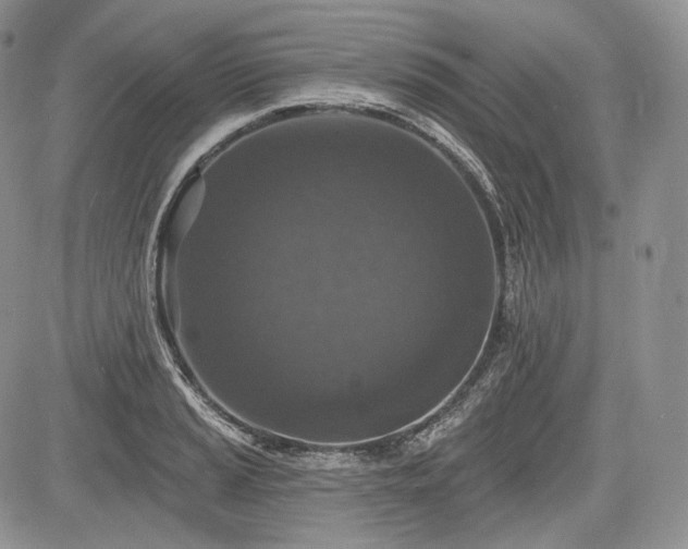 X0000085261037200703161358