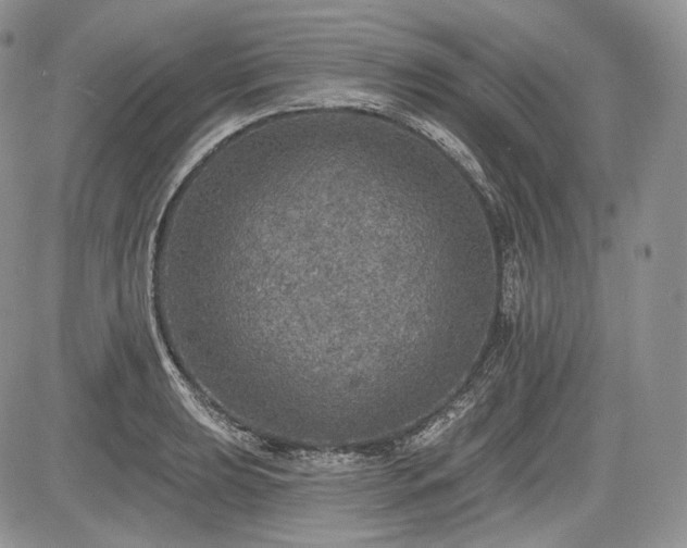 X0000085261039200703161358