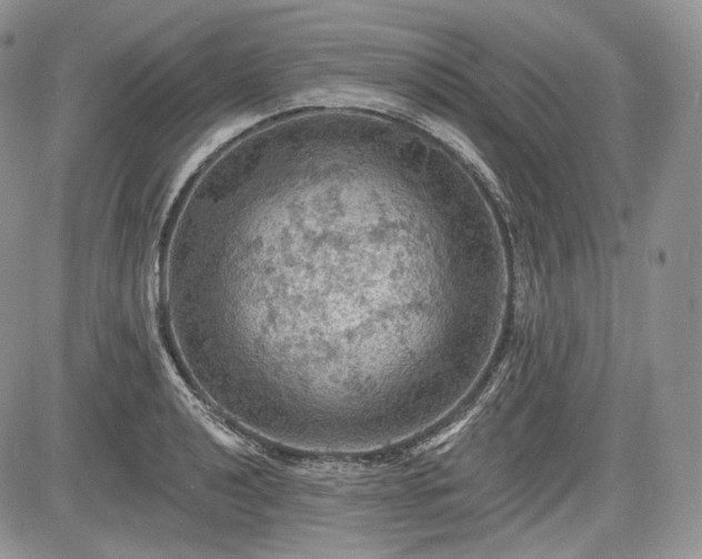 X0000085261040200703161358