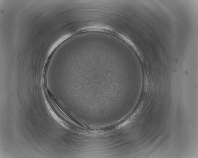 X0000085261042200703161358