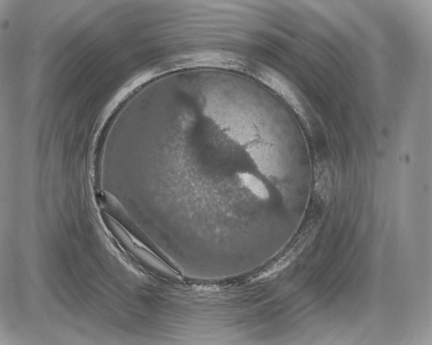 X0000085261043200703161358