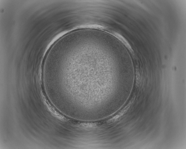 X0000085261044200703161358