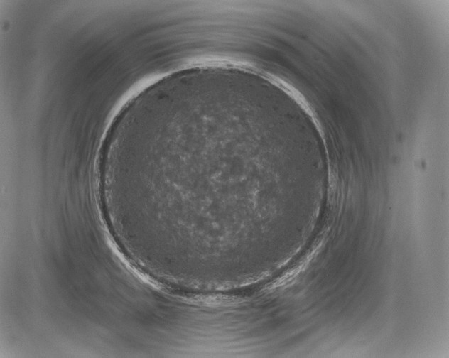 X0000085261045200703161358