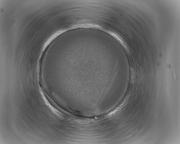 X0000085261046200703161359