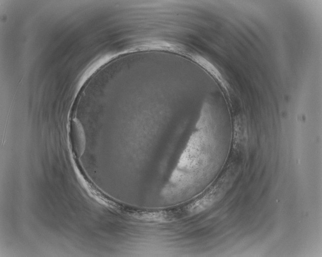 X0000085261047200703161359