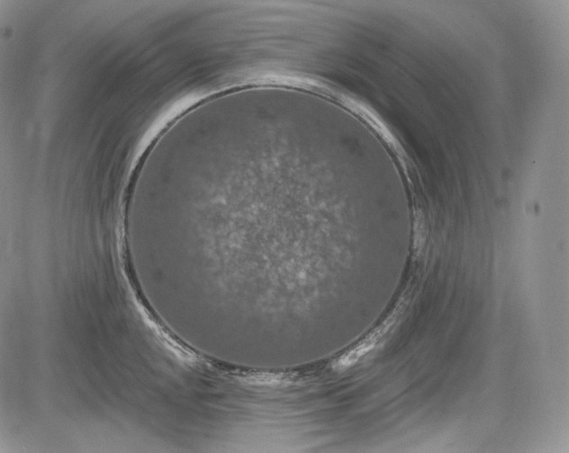 X0000085261048200703161359