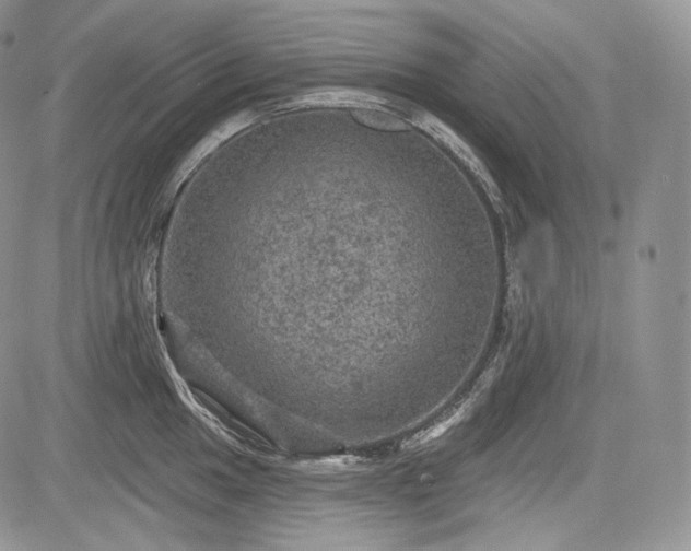 X0000085261049200703161359