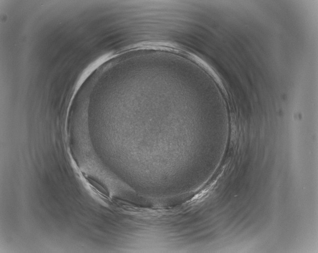 X0000085261050200703161359