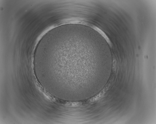 X0000085261051200703161359