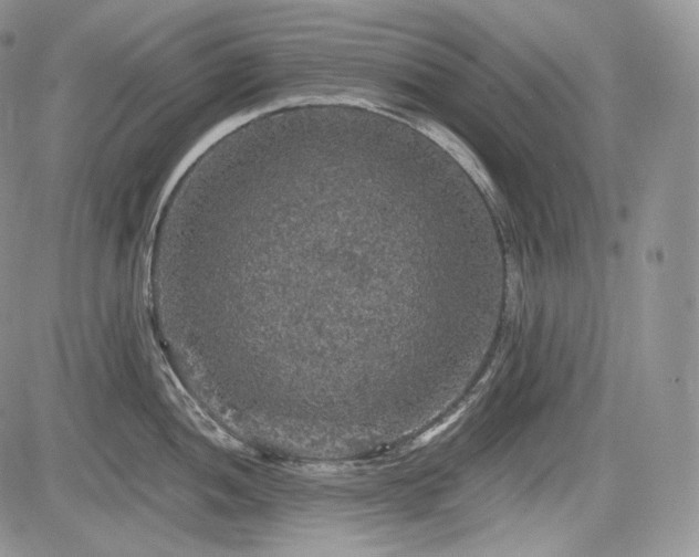 X0000085261052200703161359