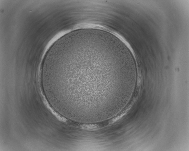 X0000085261053200703161359