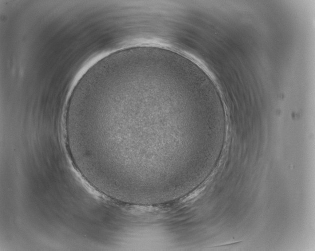 X0000085261056200703161359