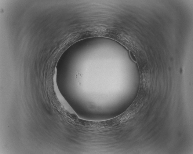 X0000085261057200703161358