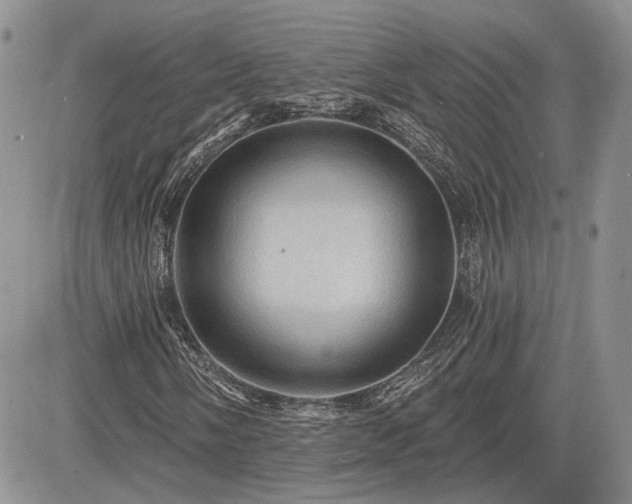 X0000085261058200703161358