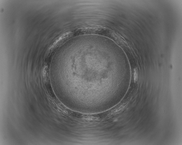 X0000085261059200703161358