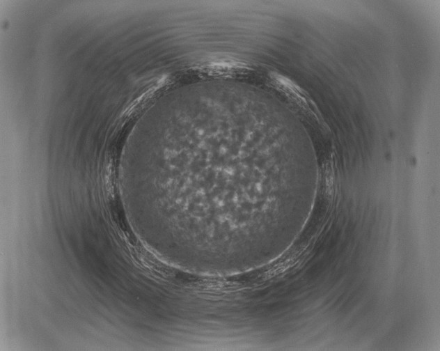 X0000085261060200703161358