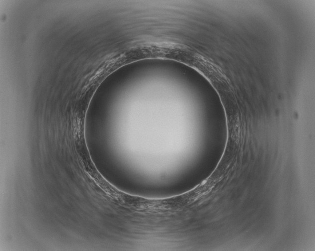 X0000085261061200703161358